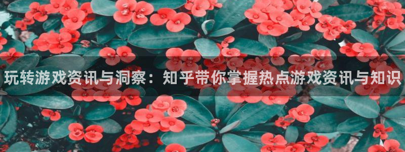 星欧娱乐直属：玩转游戏资讯与洞察：知乎带你掌握热点游戏资讯与