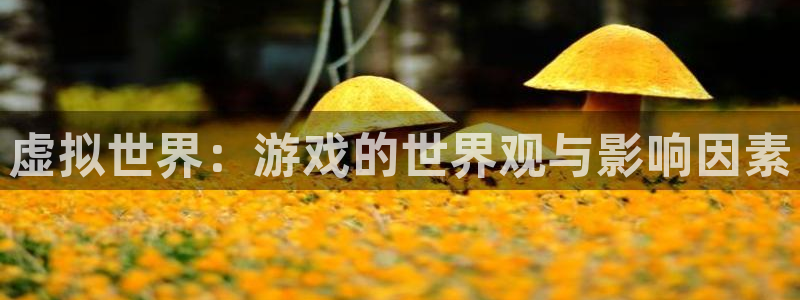 星欧娱乐网页登录入口：虚拟世界：游戏的世界观与影响因素