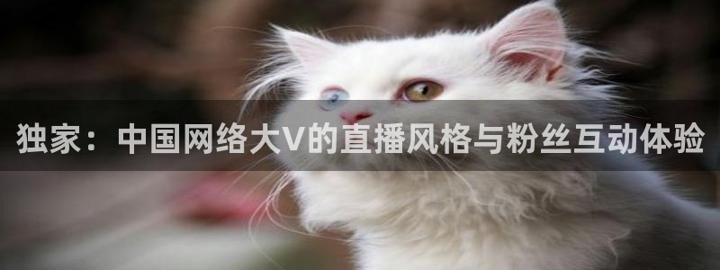 so米体育高清直播：独家：中国网络大V的直播风格与粉丝互动体验