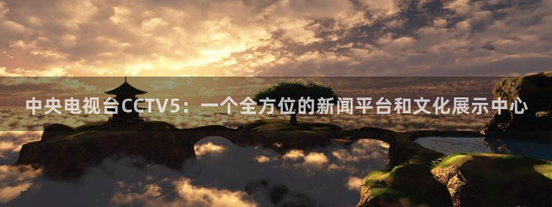 so米体育在线观看：中央电视台CCTV5：一个全方位的新闻平台和文化展示中心