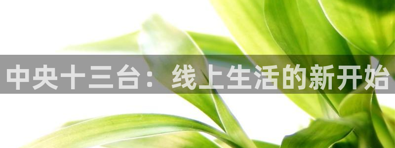 so米体育nba免费直播：中央十三台：线上生活的新开始