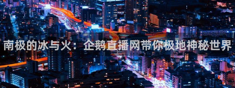 so米体育直播平台下载：南极的冰与火：企鹅直播网带你极地神秘世界