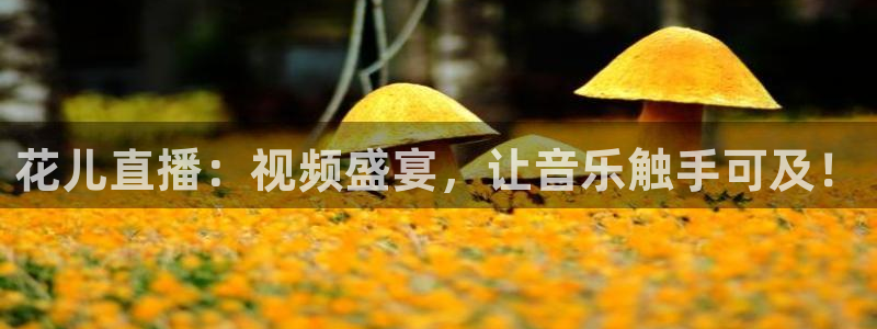 so米直播：花儿直播：视频盛宴，让音乐触手可及！