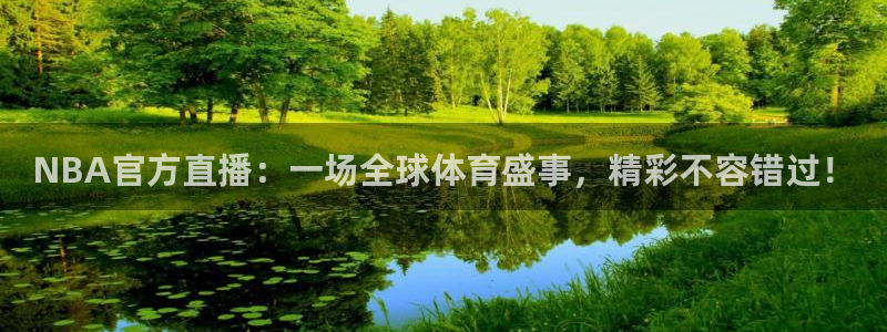 so米体育网页版：NBA官方直播：一场全球体育盛事，精彩不容错过！