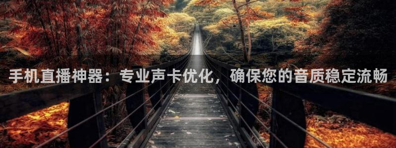 so米体育篮球直播在线：手机直播神器：专业声卡优化，确保您的音质稳定流畅