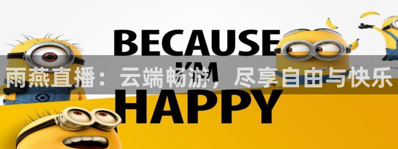 so米足球直播免费观看：雨燕直播：云端畅游，尽享自由与快乐