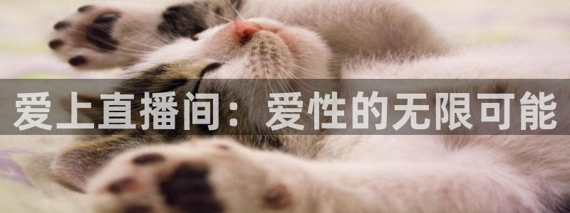 so米直播体育直播：爱上直播间：爱性的无限可能